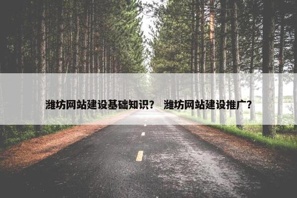 潍坊网站建设基础知识？ 潍坊网站建设推广？