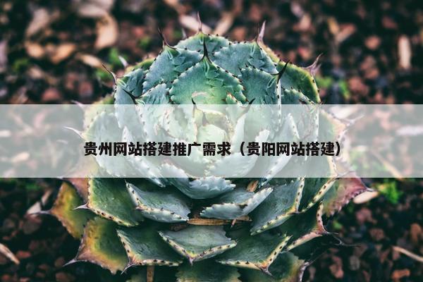 贵州网站搭建推广需求（贵阳网站搭建）