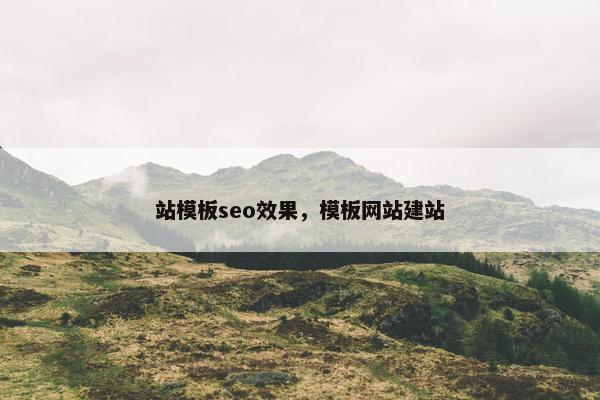 站模板seo效果，模板网站建站