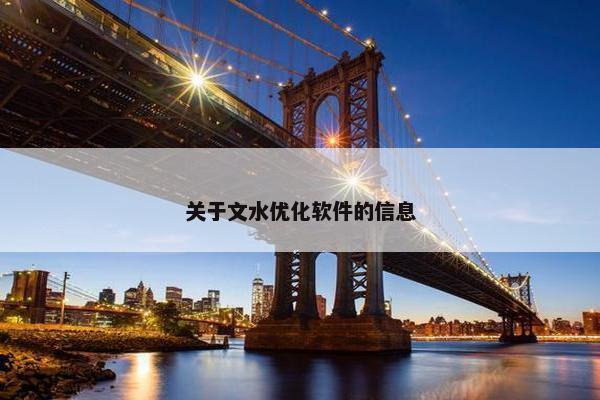 关于文水优化软件的信息