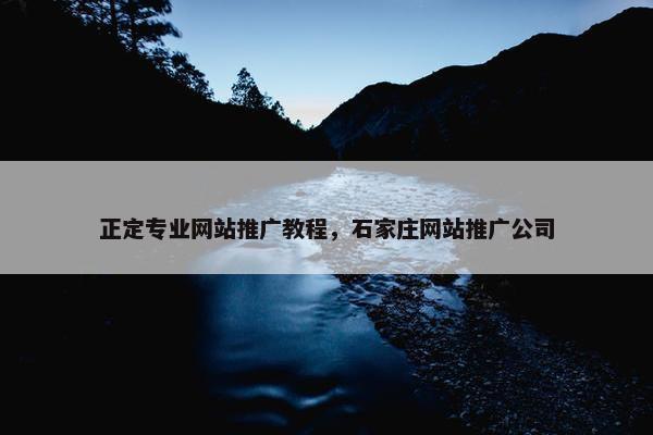 正定专业网站推广教程，石家庄网站推广公司
