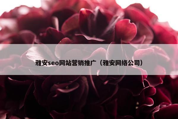 雅安seo网站营销推广（雅安网络公司）