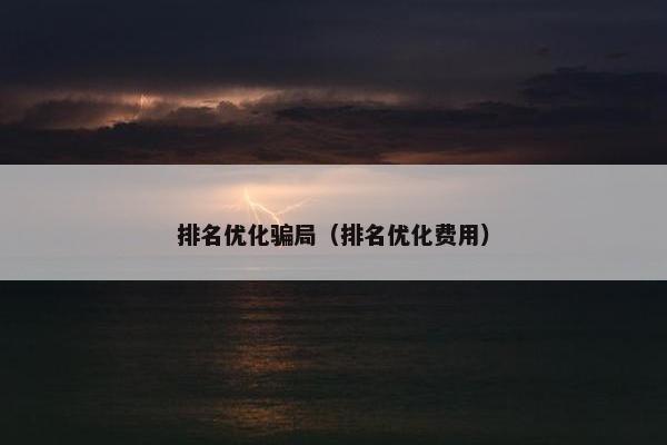 排名优化骗局（排名优化费用）