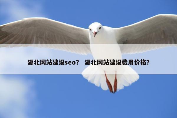 湖北网站建设seo？ 湖北网站建设费用价格？