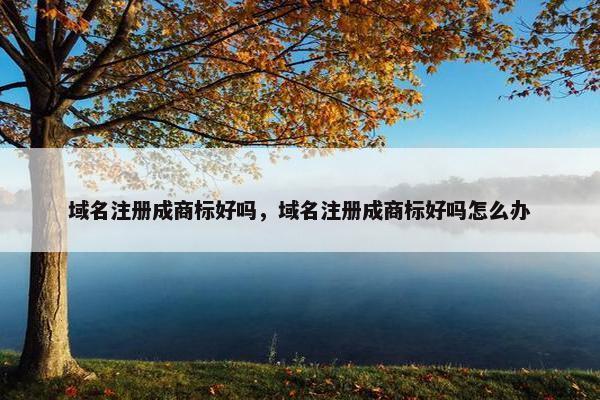 域名注册成商标好吗，域名注册成商标好吗怎么办