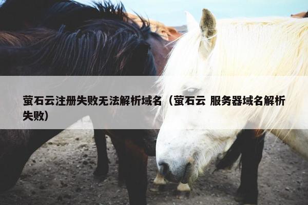 萤石云注册失败无法解析域名（萤石云 服务器域名解析失败）