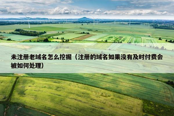 未注册老域名怎么挖掘（注册的域名如果没有及时付费会被如何处理）