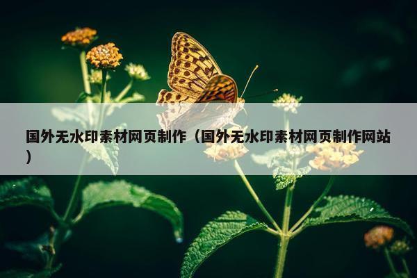 国外无水印素材网页制作（国外无水印素材网页制作网站）