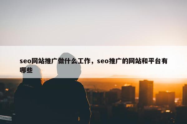 seo网站推广做什么工作，seo推广的网站和平台有哪些