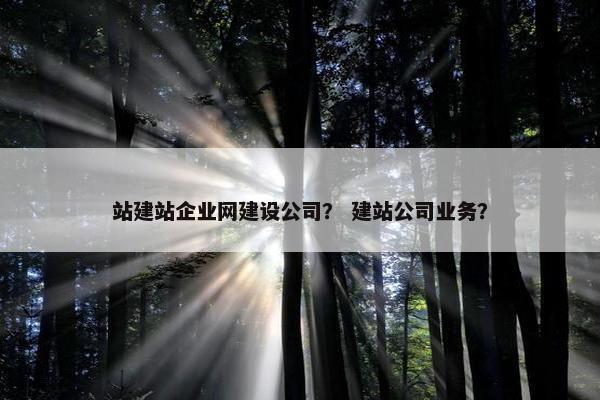 站建站企业网建设公司？ 建站公司业务？