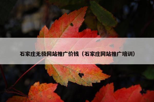 石家庄无极网站推广价钱（石家庄网站推广培训）