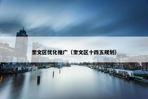 奎文区优化推广（奎文区十四五规划）