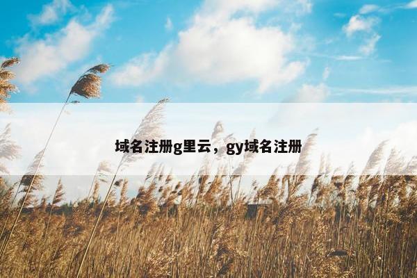 域名注册g里云，gy域名注册