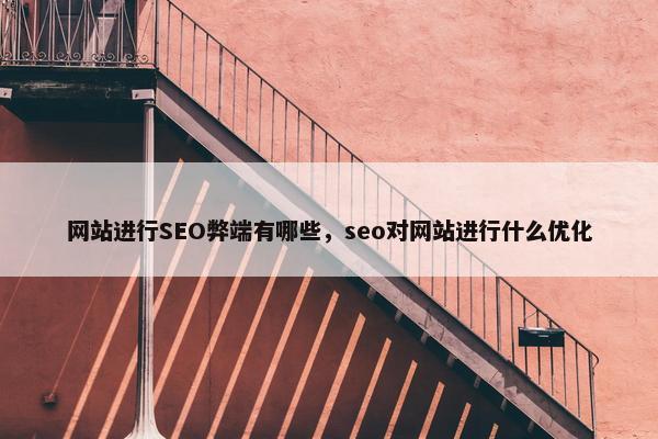 网站进行SEO弊端有哪些，seo对网站进行什么优化