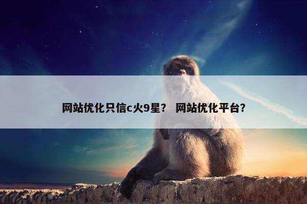 网站优化只信c火9星？ 网站优化平台？