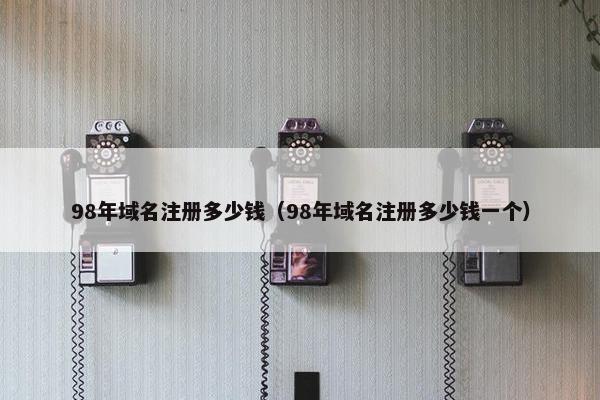 98年域名注册多少钱（98年域名注册多少钱一个）