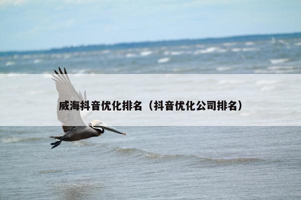 威海抖音优化排名（抖音优化公司排名）