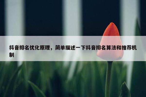 抖音排名优化原理，简单描述一下抖音排名算法和推荐机制