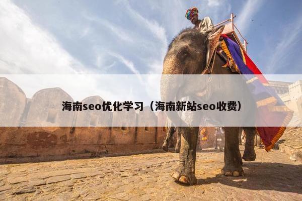 海南seo优化学习（海南新站seo收费）