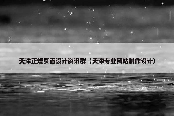 天津正规页面设计资讯群（天津专业网站制作设计）