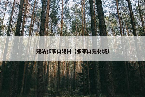 建站张家口建材（张家口建材城）
