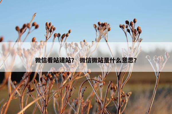 微信看站建站？ 微信微站是什么意思？