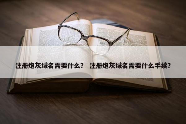注册炮灰域名需要什么？ 注册炮灰域名需要什么手续？