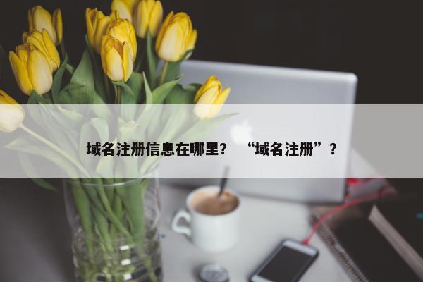 域名注册信息在哪里？ “域名注册”？