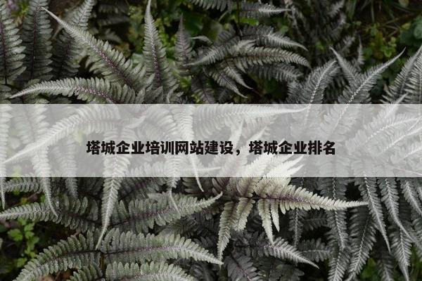 塔城企业培训网站建设，塔城企业排名