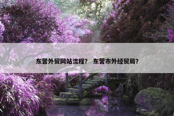 东营外贸网站流程？ 东营市外经贸局？