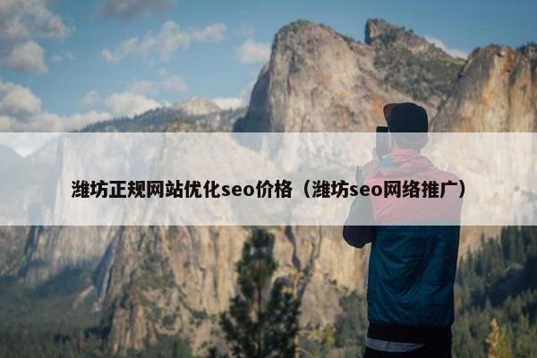 潍坊正规网站优化seo价格（潍坊seo网络推广）
