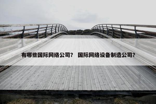 有哪些国际网络公司？ 国际网络设备制造公司？