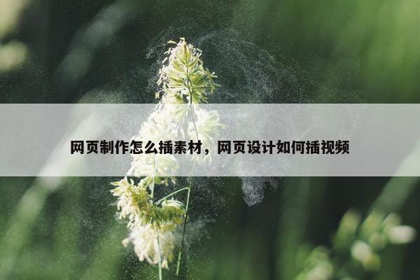 网页制作怎么插素材，网页设计如何插视频