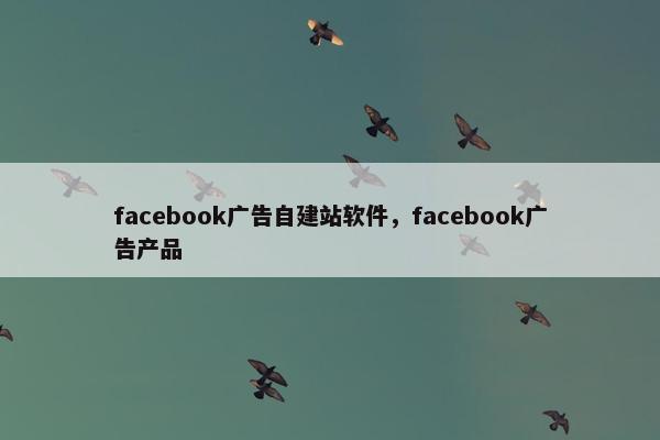 facebook广告自建站软件，facebook广告产品