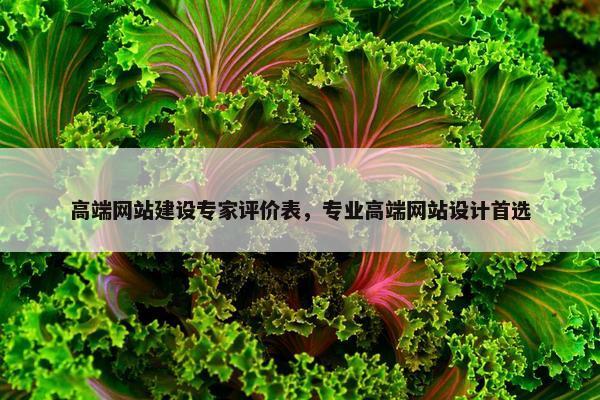 高端网站建设专家评价表，专业高端网站设计首选