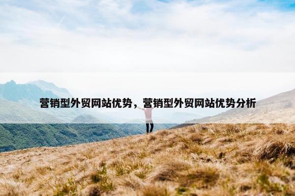 营销型外贸网站优势，营销型外贸网站优势分析