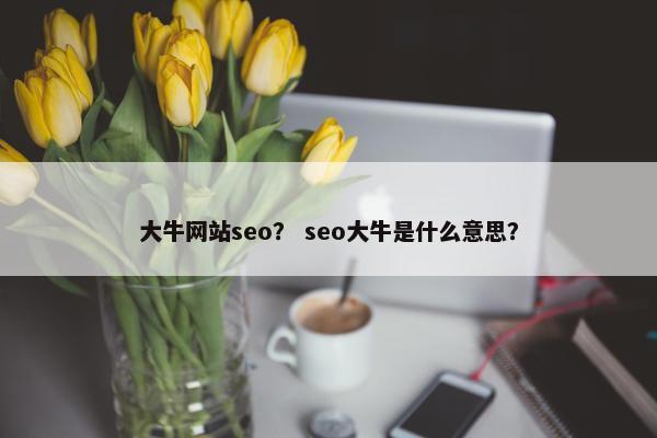 大牛网站seo？ seo大牛是什么意思？