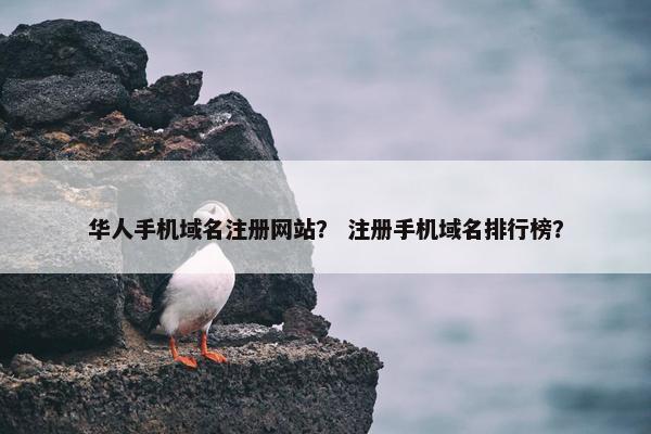 华人手机域名注册网站？ 注册手机域名排行榜？
