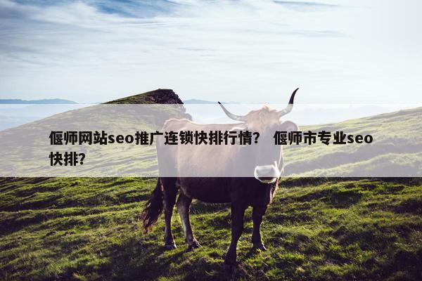 偃师网站seo推广连锁快排行情？ 偃师市专业seo快排？