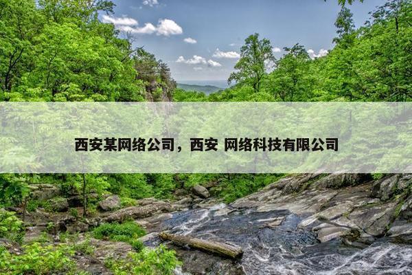 西安某网络公司，西安 网络科技有限公司