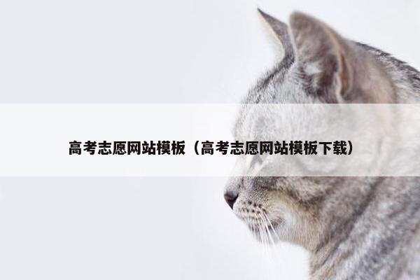 高考志愿网站模板（高考志愿网站模板下载）