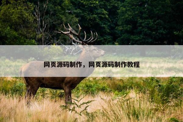 网页源码制作，网页源码制作教程