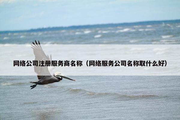 网络公司注册服务商名称（网络服务公司名称取什么好）