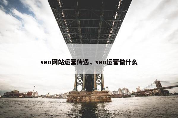 seo网站运营待遇，seo运营做什么