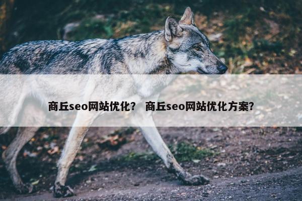 商丘seo网站优化？ 商丘seo网站优化方案？