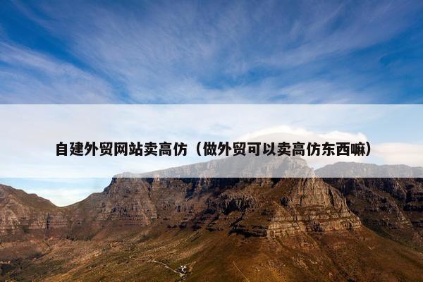 自建外贸网站卖高仿（做外贸可以卖高仿东西嘛）