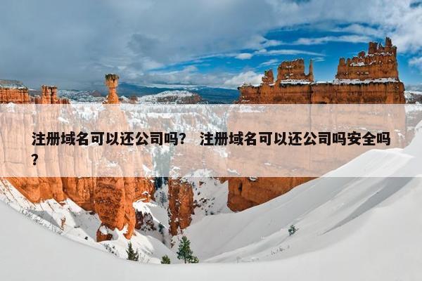 注册域名可以还公司吗？ 注册域名可以还公司吗安全吗？