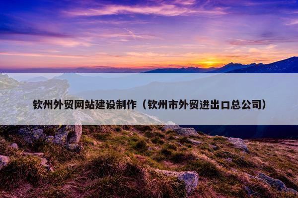 钦州外贸网站建设制作（钦州市外贸进出口总公司）