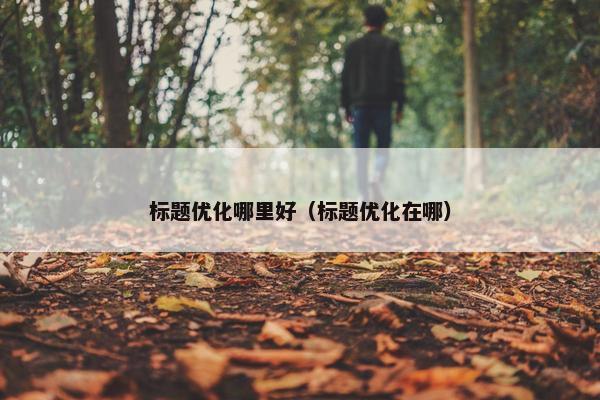 标题优化哪里好（标题优化在哪）
