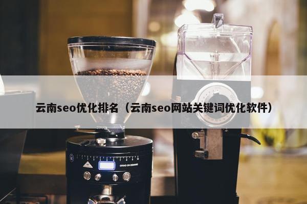 云南seo优化排名（云南seo网站关键词优化软件）